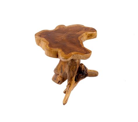 Zrezaná dracena s novými výhonkami z kmeňa