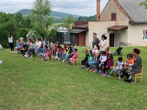 fotografia mladých sadeničiek jabloní v škôlke