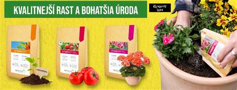 Schéma štruktúry športového trávnika s hustým koreňovým systémom a optimálnou hustotou stebiel