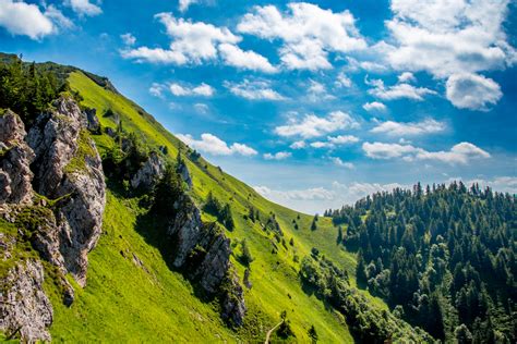 Fotografia bavlníkového poľa na Slovensku