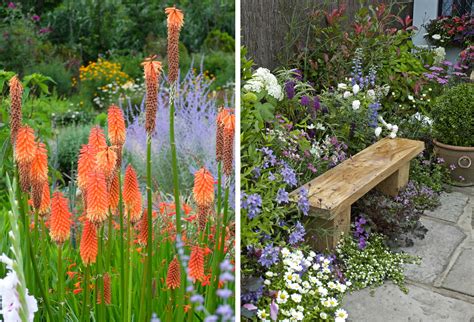 Príklad farebnej kombinácie trvaliek v záhone