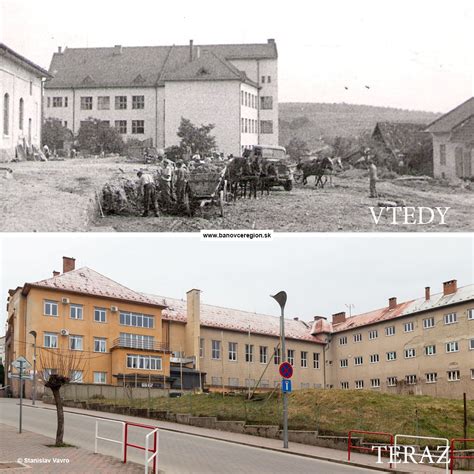 Vizualizácia rýchleho rastu cyprusovca leylandského v priebehu niekoľkých rokov.