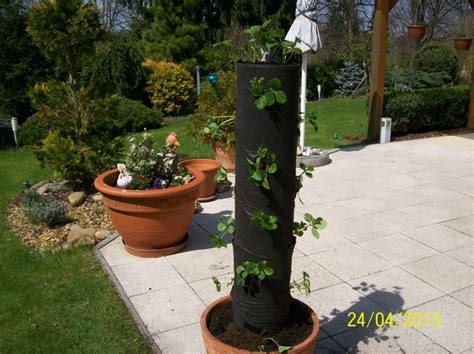 Rôzne typy kvetináčov na pestovanie jahôd: samozavlažovacie, keramické, vertikálne.