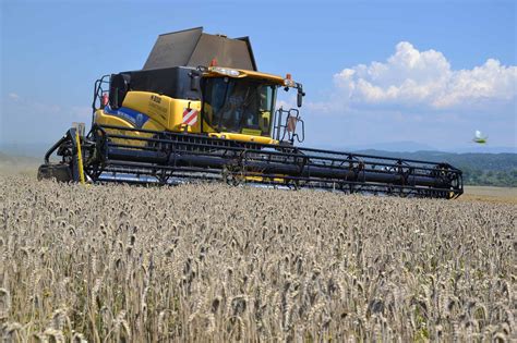 Schéma rozdelenia typov postrekovačov podľa objemu a spôsobu použitia: od ručných rozprašovačov až po motorové chrbtové prístroje.