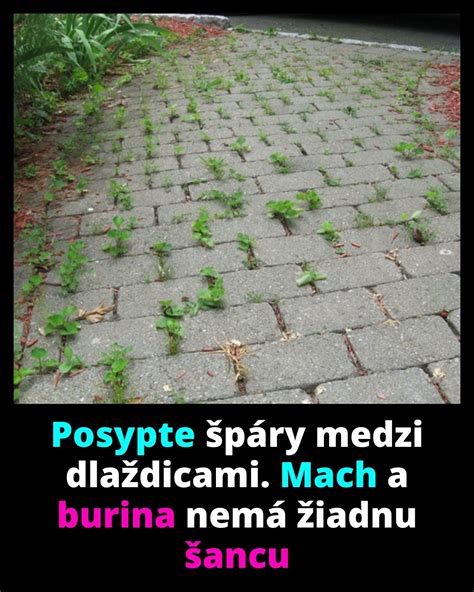 Schéma mechanického odstraňovania buriny: vertikulácia a použitie vyrývača buriny na hlboké korene.