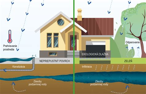Infografika: Porovnanie ekologických metód ničenia buriny (mulčovanie, horúca voda, domáce postreky).