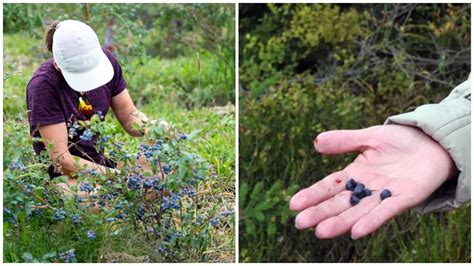 Ilustračná fotografia lesa.