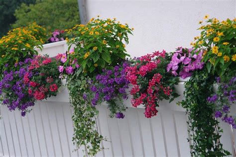 Záber na bohato rozkvitnutý južný balkón plný rôznych druhov letničiek v kvetináčoch