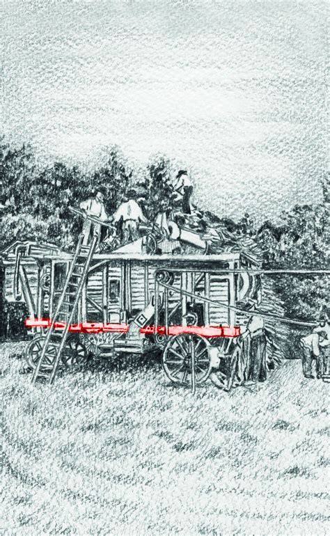 Ilustrácia historického bavlníkového poľa