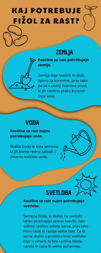 Infografika znázorňujúca rast kvásku v pohári od prvých bubliniek po zrelý stav
