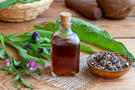 ilustračná fotografia kostihoja lekárskeho s detailom kvetov a listov