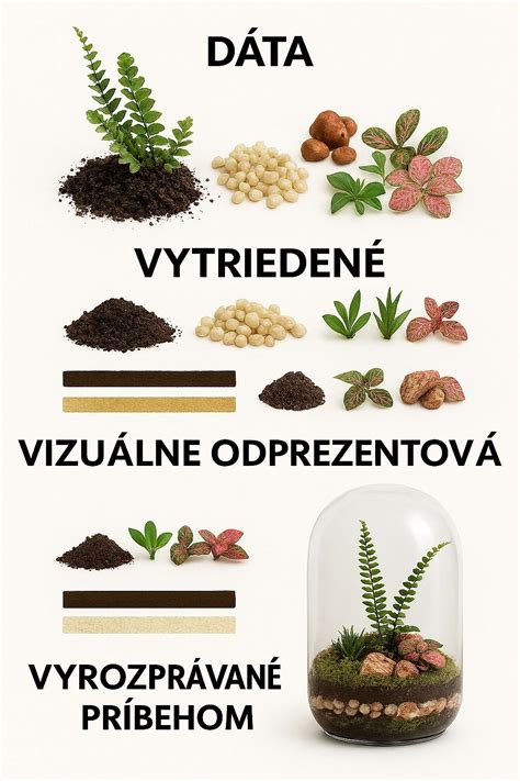 Ilustračná schéma rastlinných živín a ich pôsobenia