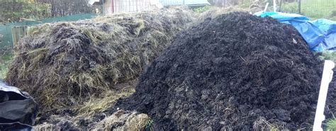 Infografika správnej aplikácie minerálnych hnojív do pôdy v úzkom záhone