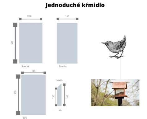 rôzne typy kŕmidiel pre vtáky, vrátane drevených a DIY