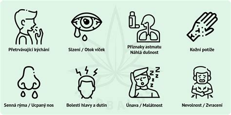 Ilustrácia znázorňujúca bežné príznaky alergickej nádchy