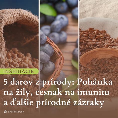 Infografika znázorňujúca zdravotné benefity goji pre srdce, imunitu a zrak