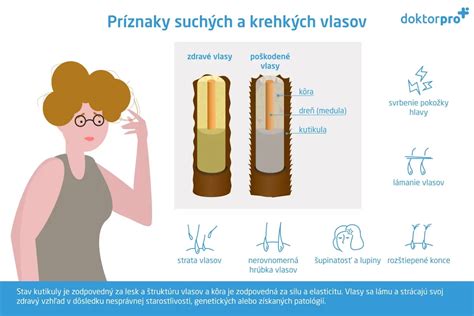 Infografika porovnania strihania mokrých a suchých vlasov