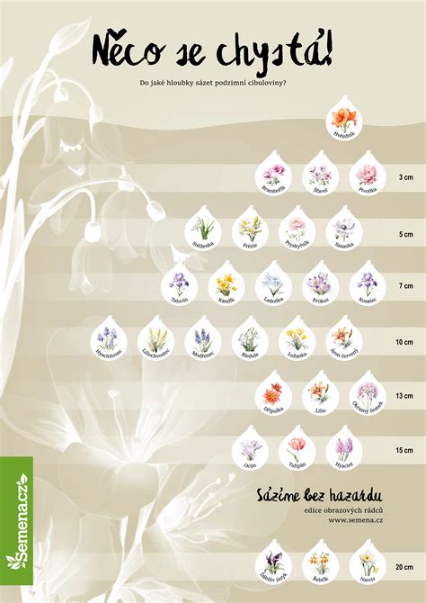 Infografika správneho sponu výsadby paprík (50x50 cm) a hĺbky sadenia.