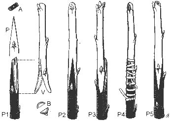 Schéma: Ukážka spojenia vrúbľa a podpníka pri rôznych technikách štepenia.