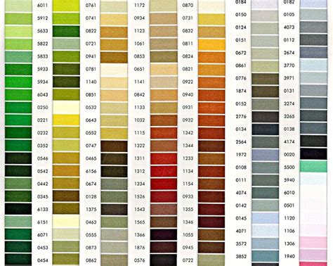 farebná škála a rôzne tvary kvetov tulipánov