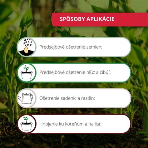 infografika: ako chitín posilňuje imunitu rastlín
