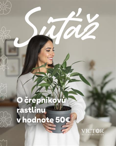 Schéma umiestnenia prvosienky: ideálne svetelné a teplotné podmienky pre rastlinu v interiéri aj exteriéri