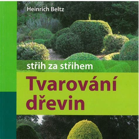 Detailná fotografia výsevných misiek s agroperlitom a označenými druhmi drevín