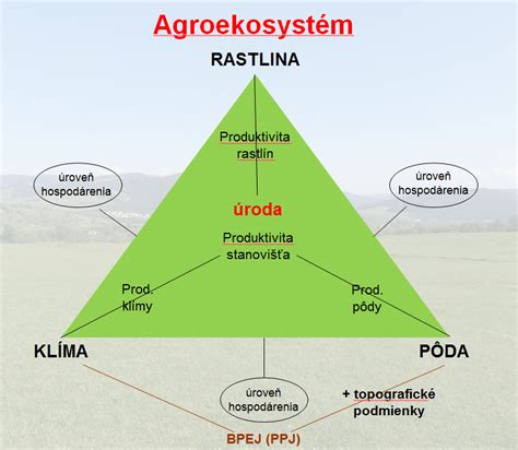 Schéma alelopatických vzťahov medzi bežnými záhradnými plodinami a kategórie rastlín podľa botanických čeľadí