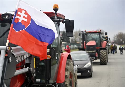 Snímka z poľnohospodárskej výsadby tekvíc na veľkej ploche s optimálnymi rozostupmi