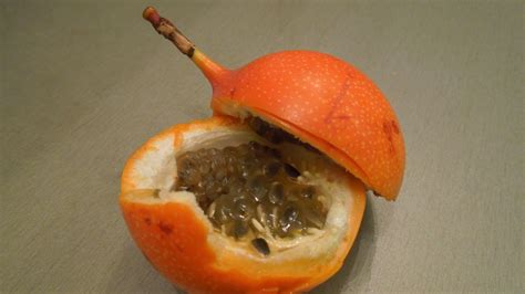 Detailný pohľad na plod marakuje