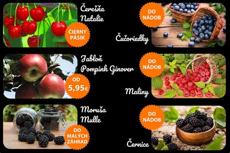 Koláž rôznych druhov okrasných a ovocných drevín dostupných v centre