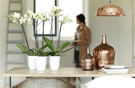 ilustrácia rôznych typov kvetináčov vhodných pre orchidey