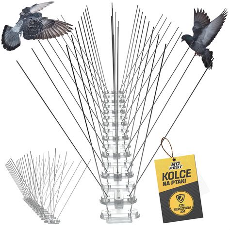 Ilustrácia sieťového ochranného systému proti vtákom na kríkoch ríbezlí