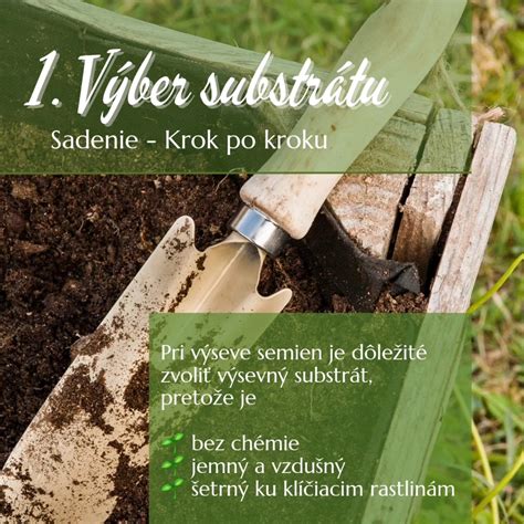 schéma výsevu semien do substrátu s označením svetelnej potreby