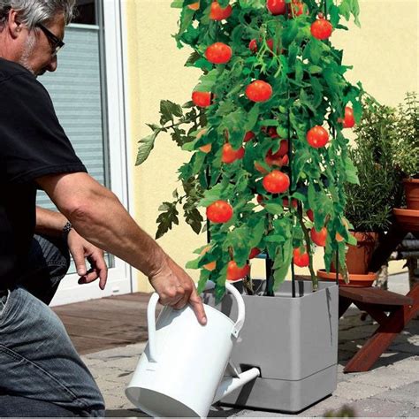 samozavlažovací kvetináč