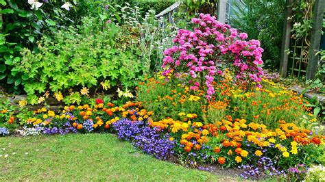 Záhrada s rastlinami konope