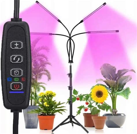 Schematické znázornenie optimálnej vzdialenosti a uhla osvetlenia rastlín