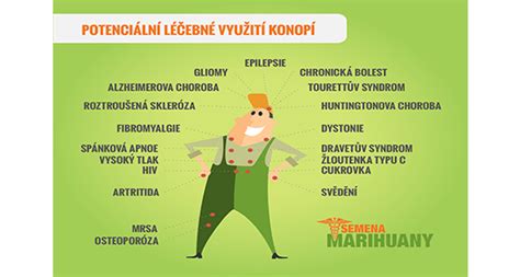Infografika o využití technického konope