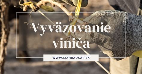 Schéma správneho viazania viniča na mrežu