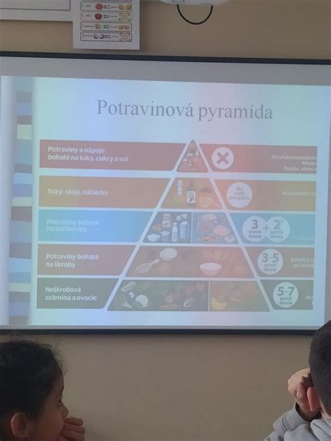 Vizualizácia správneho zálievkového režimu pre begónie.