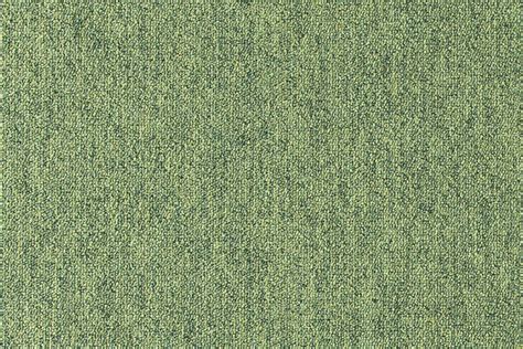 Ilustračná fotografia nenáročnej pôdopokryvnej rastliny vytvárajúcej zelený koberec v záhrade