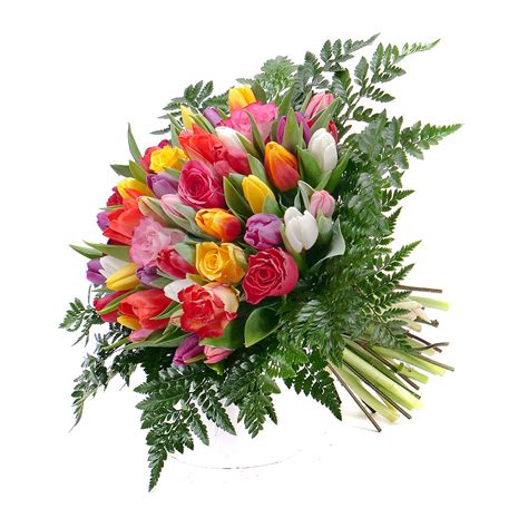 Rôzne farebné kvety vajgely