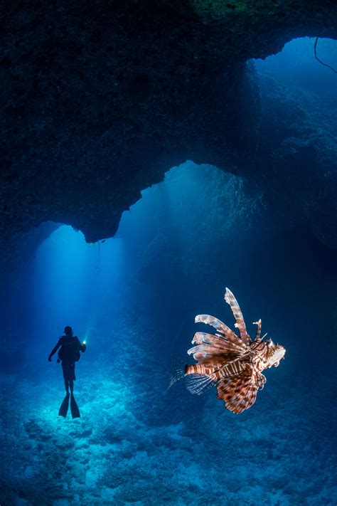 Ilustrácia metódy potápania