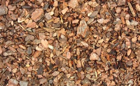 príklady rôznych frakcií borovicovej kôry v záhrade