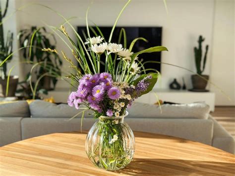 Odrezok monštery vo váze s vodou, viditeľné vyvíjajúce sa korene