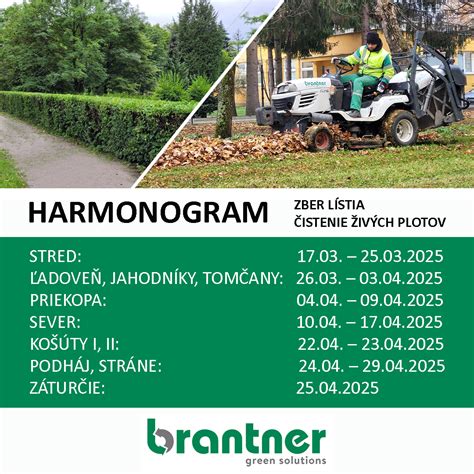 fotografia jarného čistenia trávnika od lístia