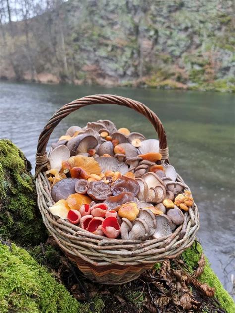 košík plný rôznych druhov hrozna