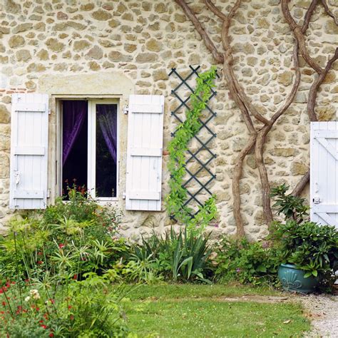 obrázok bostonského brečtanu obrastajúceho stenu domu