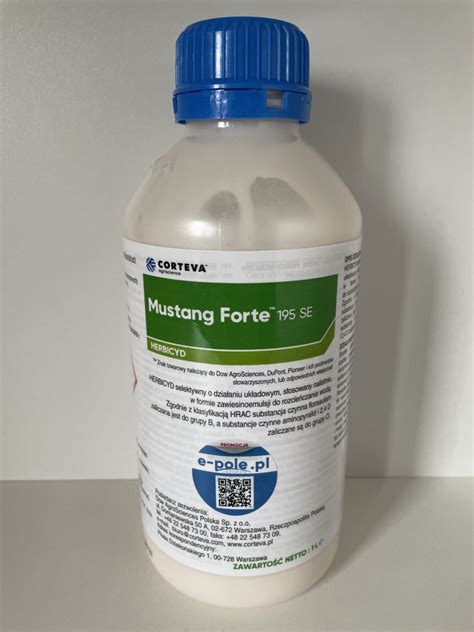 Infografika zobrazujúca fázy rastu burín ideálne na aplikáciu herbicídu Mustang Forte