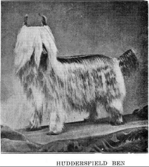 Ilustrácia alebo fotografia Huddersfield Ben.